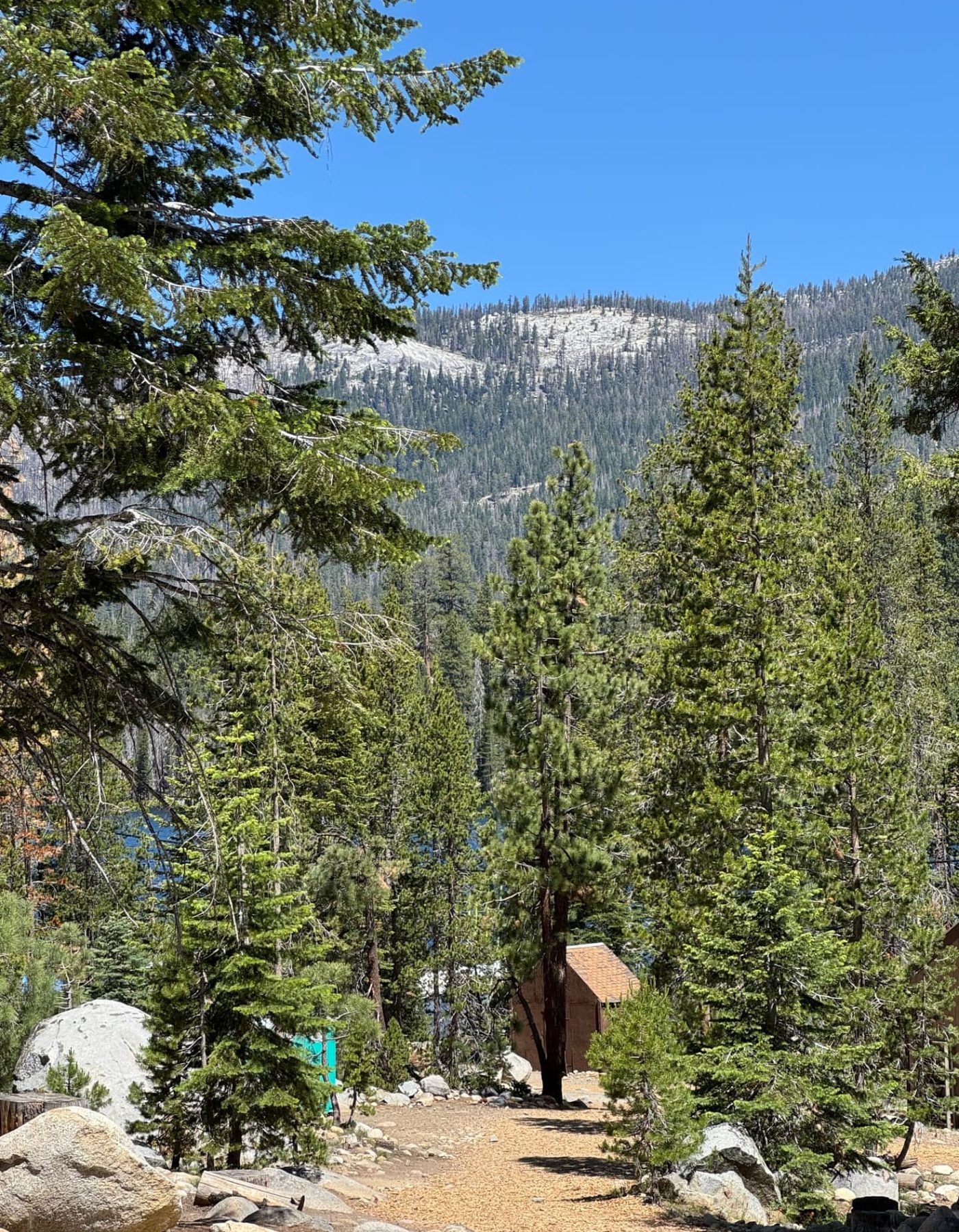 Granite ridge and pines above a Sierra camp
